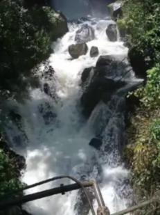 海岛大亨3